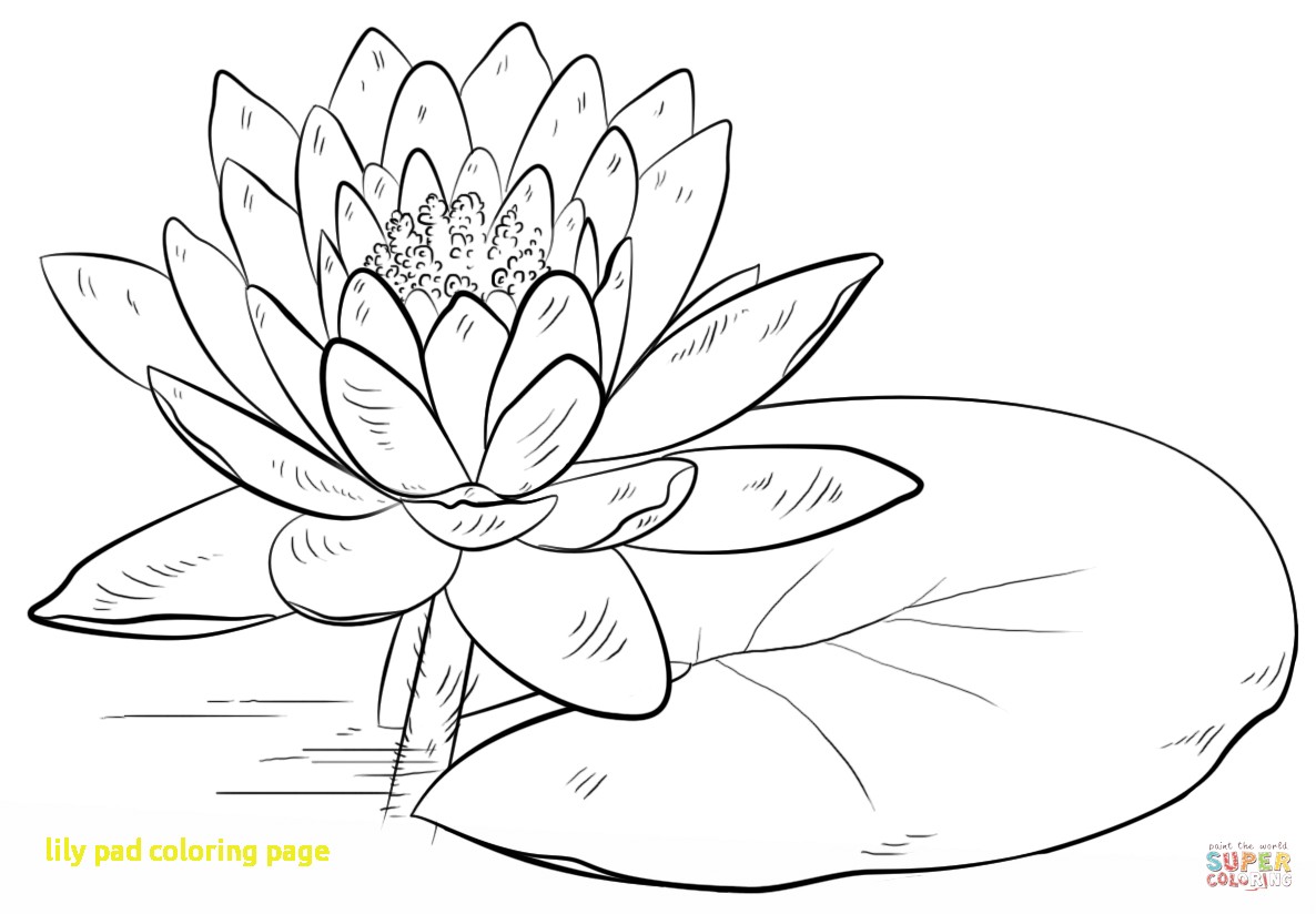 1186x824 Lily Pad Coloring Page With Water Lily And Pad Coloring Page