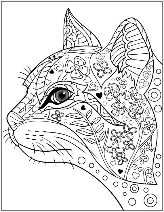 Cat Coloring Pages For Adults 14 570x738 Cat Coloring Pages For Adults 14