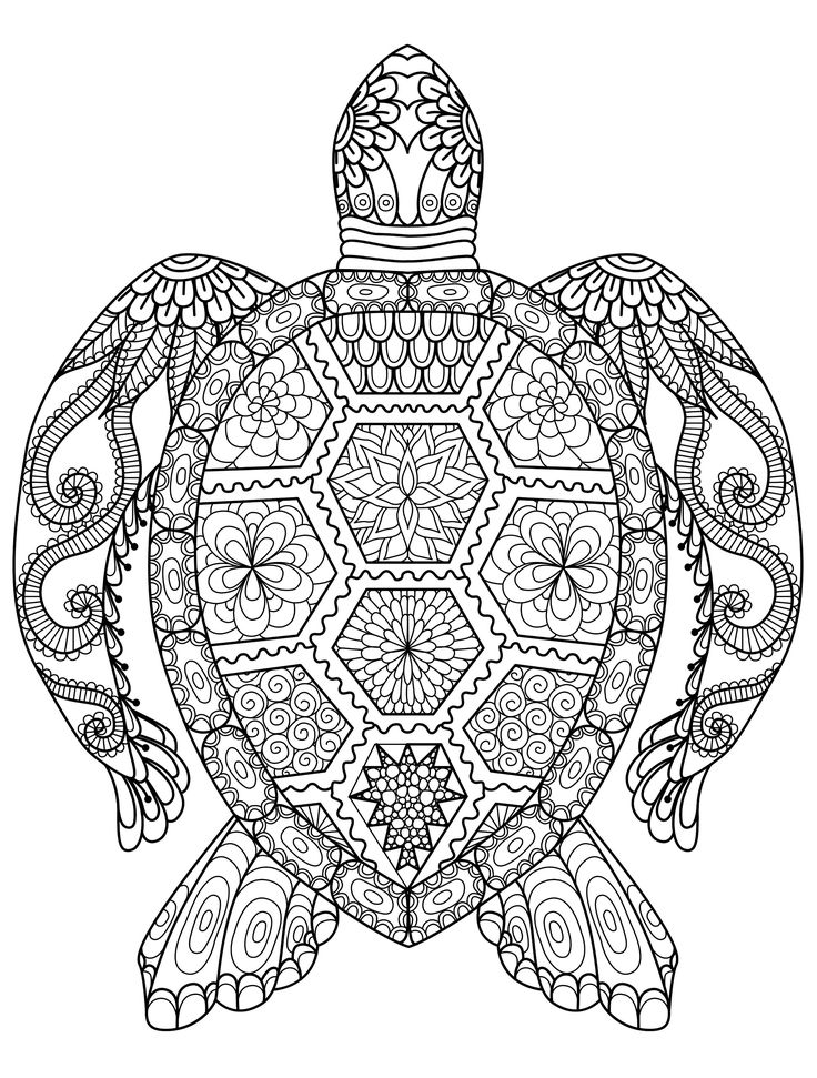 Coloring Pages Adult 736x971 Coloring Pages Adult