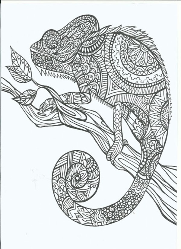 Free Printable Coloring Pages For Adults {12 More Designs 600x825 Free Printable Coloring Pages For Adults {12 More Designs