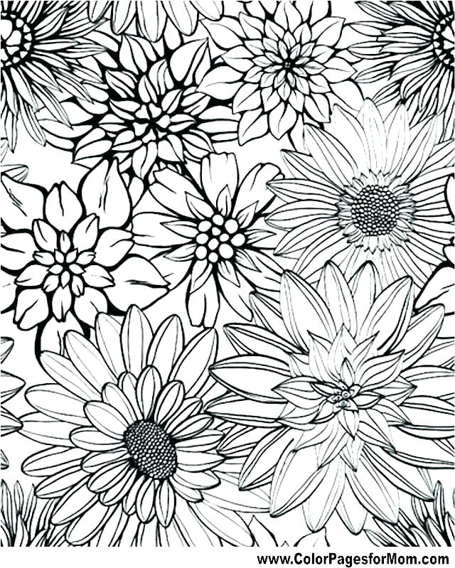 Coloring Pages Flowers Printable Coloring Pages Flowers Printable 640x799 Coloring Pages Flowers Printable Coloring Pages Flowers Printable
