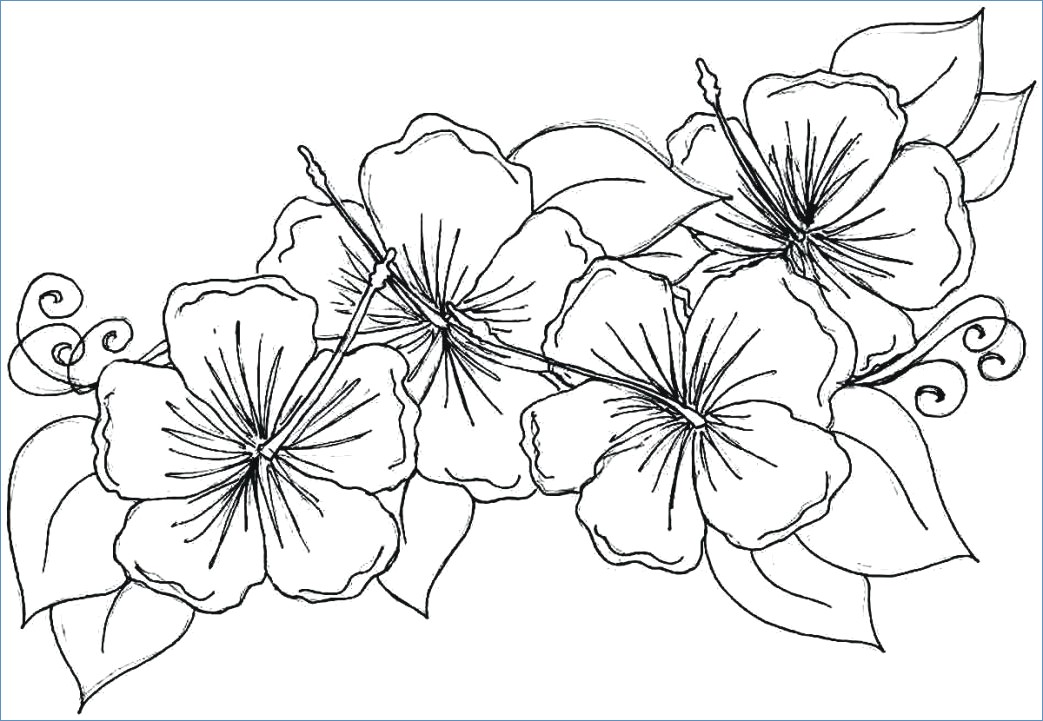 Big Flower Coloring Pages 1043x721 Big Flower Coloring Pages