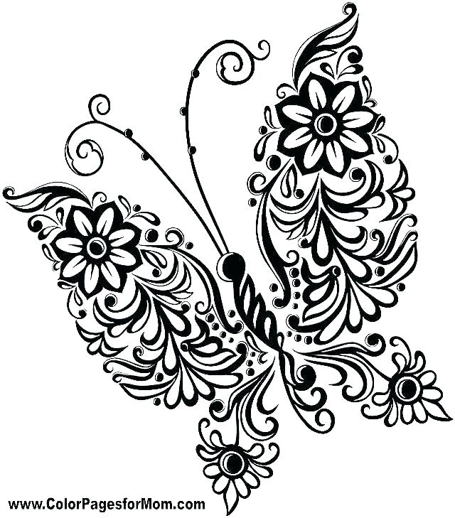 Coloring Pages Flowers Coloring Pages Flowers And Butterflies 640x729 Coloring Pages Flowers Coloring Pages Flowers And Butterflies