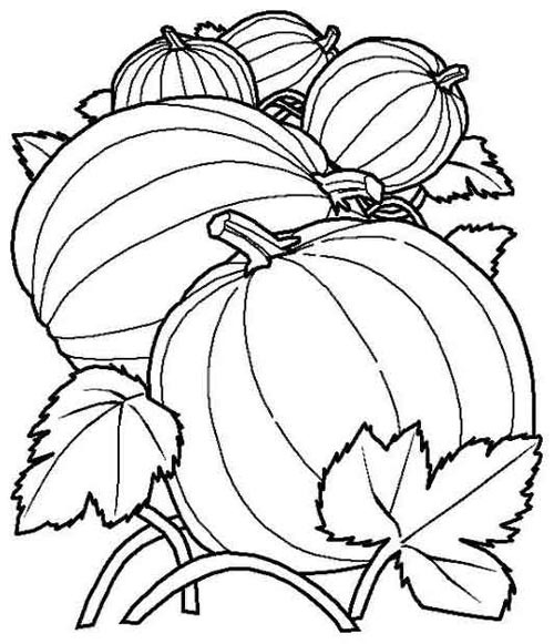 Images Of Fall Coloring Pages