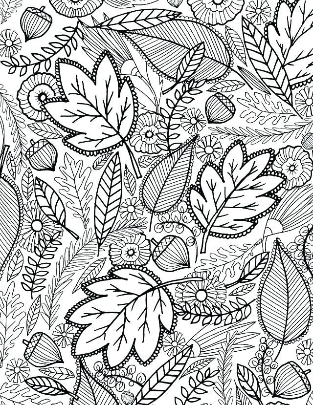 Free Fall Coloring Pages Fall Color Pages Free Autumn Coloring 640x829 Free Fall Coloring Pages Fall Color Pages Free Autumn Coloring