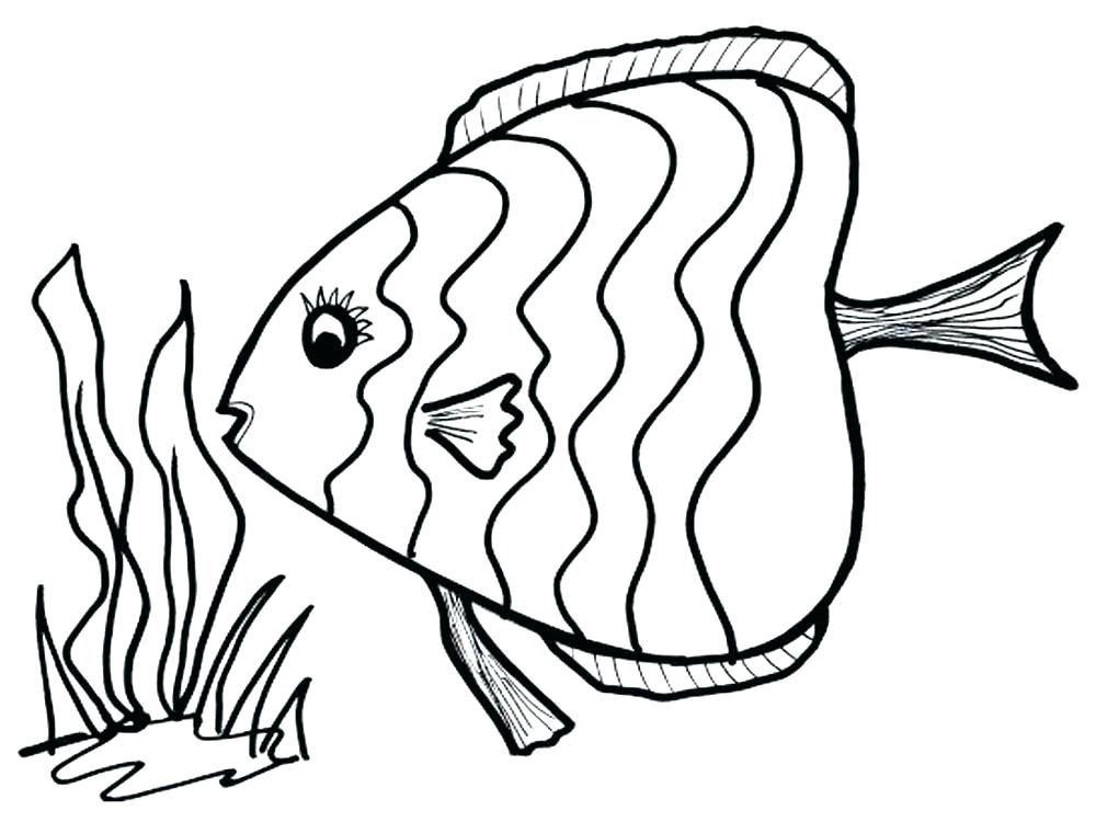 1000x750 Fish Coloring Pages Rainbow Coloring Template Printable Rainbow