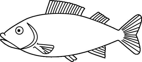 600x261 Coloring Page Fish Colouring