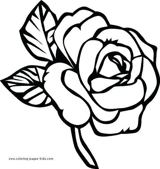 Flower Color Pages Colouring Pages For Kids Flowers Printable 534x563 Flower Color Pages Colouring Pages For Kids Flowers Printable