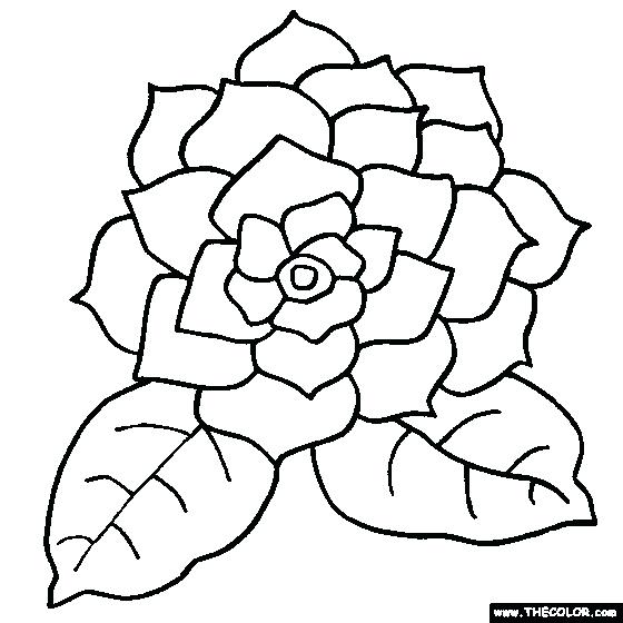 Flowers Coloring Page 560x560 Flowers Coloring Page