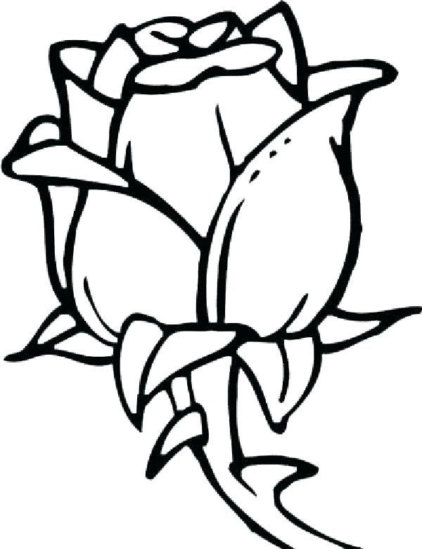 Coloring Pages Of Flowers Beautiful Flower Coloring Pages Flower 600x780 Coloring Pages Of Flowers Beautiful Flower Coloring Pages Flower