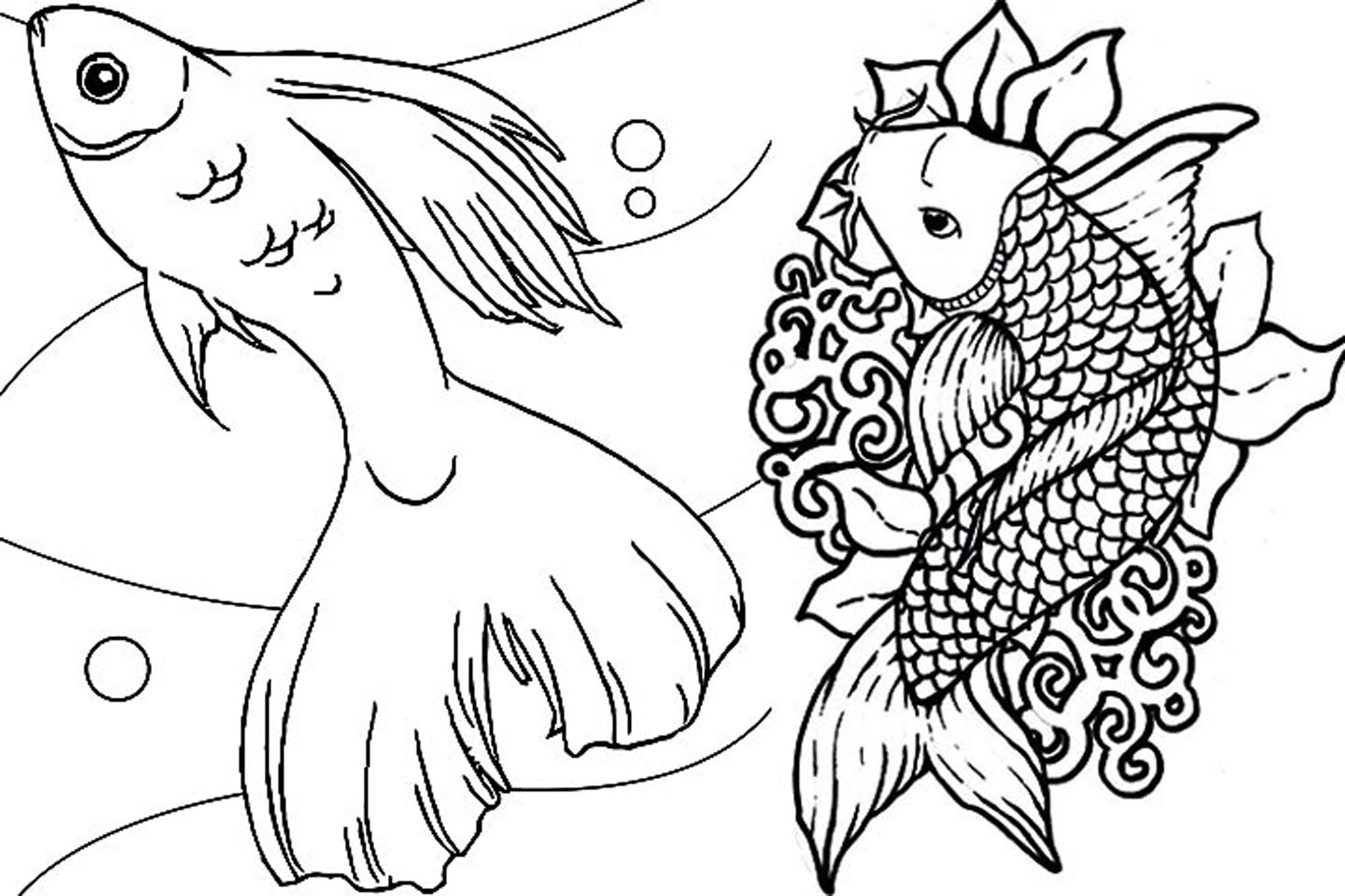 2000x1333 Imagination Cute Goldfish Coloring Pages Page 21 Free Printable