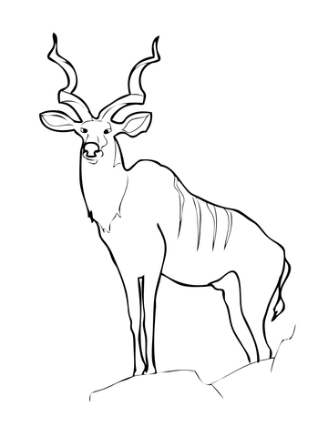 Greater Kudu Animal Coloring Page 360x480 Greater Kudu Animal Coloring Page