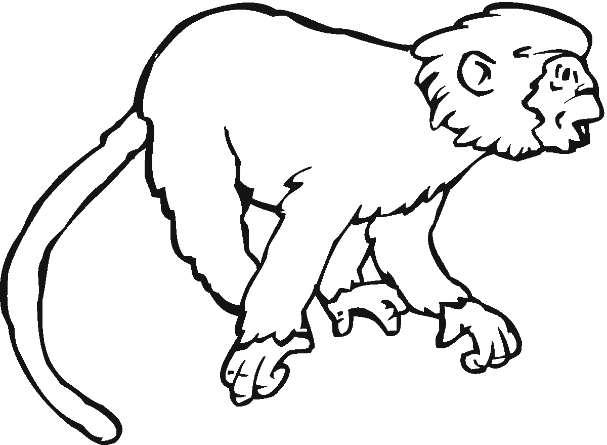 New Monkey Animal Coloring Pages Collection Printable Coloring Sheet 1200x879 New Monkey Animal Coloring Pages Collection Printable Coloring Sheet