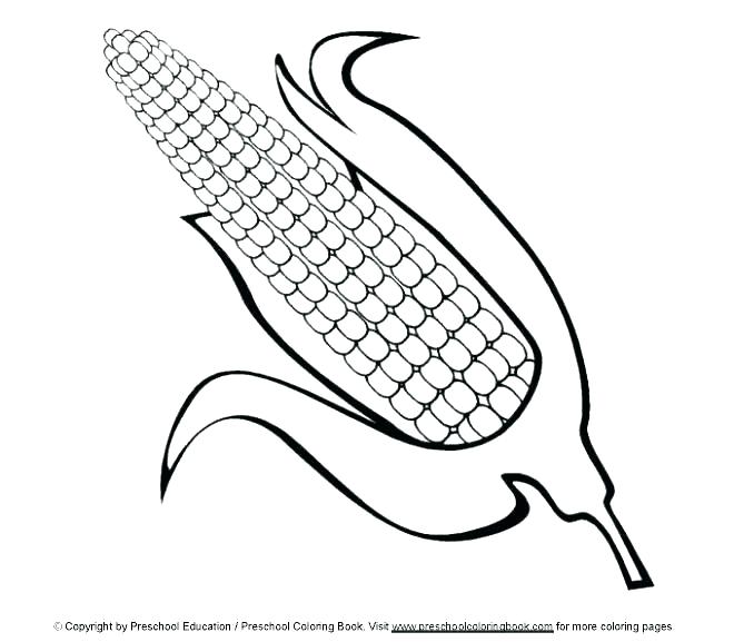 660x577 Corn Coloring Pages Coloring Page Of Corn Corn Coloring Sheets