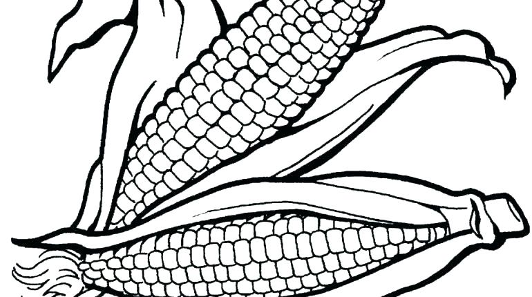 770x430 Thanksgiving Indian Corn Coloring Pages Book Fuhrer Von