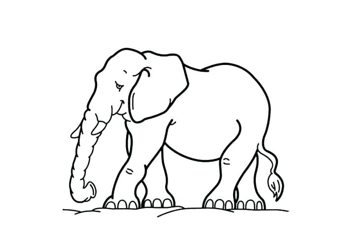 Elephant Printable Coloring Pages Vanda 700x500 Elephant Printable Coloring Pages Vanda