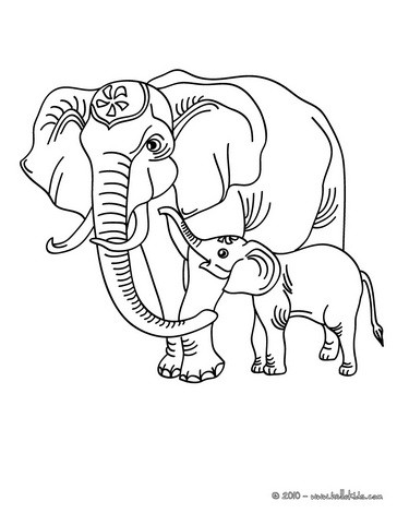 Asian Elephant Coloring Pages 364x470 Asian Elephant Coloring Pages