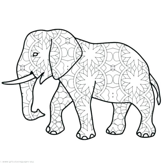 Coloring Pages Elephant Elephant Coloring Page For Adults Coloring 520x520 Coloring Pages Elephant Elephant Coloring Page For Adults Coloring