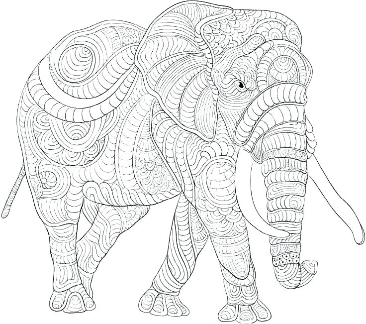 India Elephant Coloring Pages Drawn Hunting Savanna Elephant Free 736x651 India Elephant Coloring Pages Drawn Hunting Savanna Elephant Free