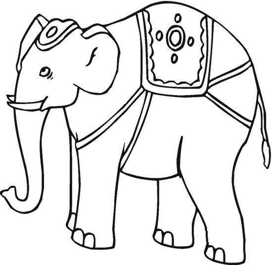 Indian Elephant Coloring Pages 550x535 Indian Elephant Coloring Pages
