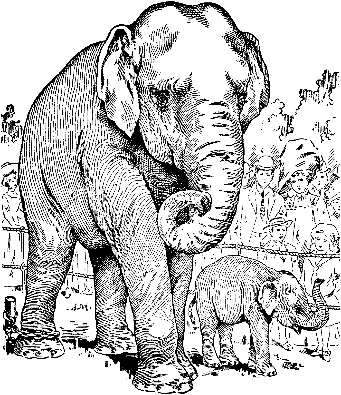 Security Asian Elephant Coloring Page Best 1400x1620 Security Asian Elephant Coloring Page Best