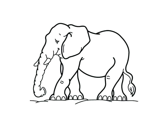 Elephant Coloring Pages Elephant 9 Coloring Page Coloring Page 700x500 Elephant Coloring Pages Elephant 9 Coloring Page Coloring Page