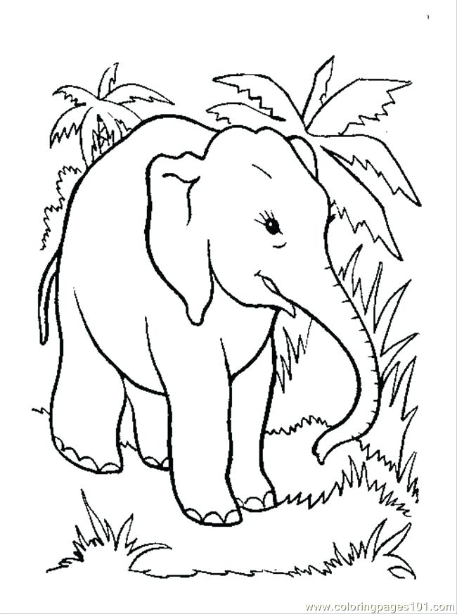 Elephant Coloring Pages Elephant Coloring Page Coloring Page 650x873 Elephant Coloring Pages Elephant Coloring Page Coloring Page