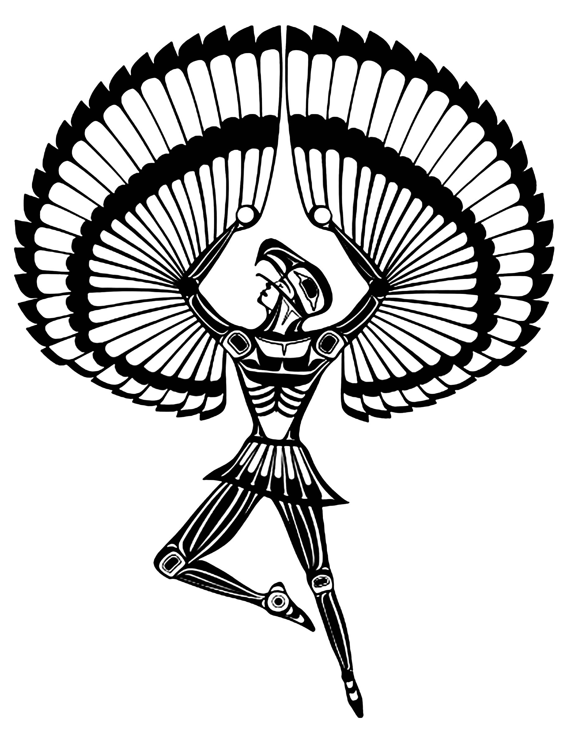 Feather 1847x2424 Feather