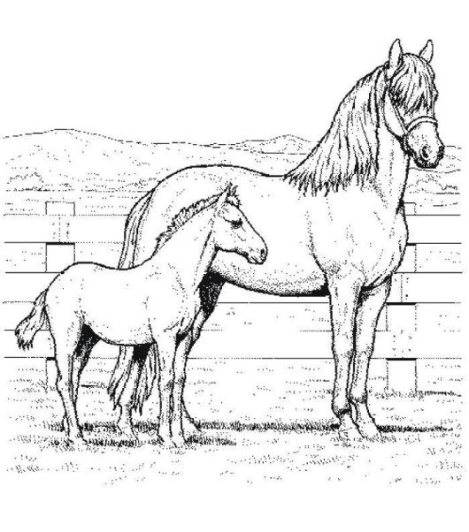 Indian Horse Coloring Pages at GetColorings.com | Free printable ...