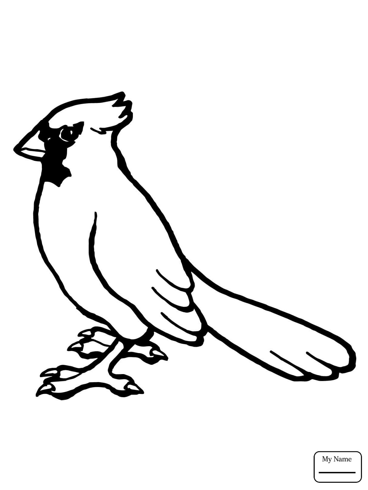 Northern Cardinal Coloring Pages Printable Coloring For Kids 2018 1224x1632 Northern Cardinal Coloring Pages Printable Coloring For Kids 2018