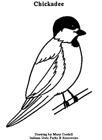 Dnr Coloring Pages 401x550 Dnr Coloring Pages