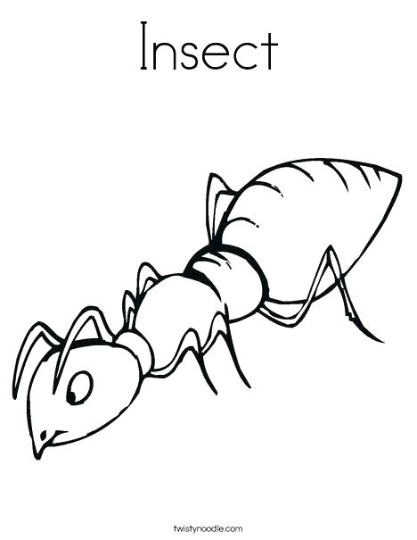 Insect Color Pages Awesome Ant Coloring Page And Grasshopper Pages 468x605 Insect Color Pages Awesome Ant Coloring Page And Grasshopper Pages