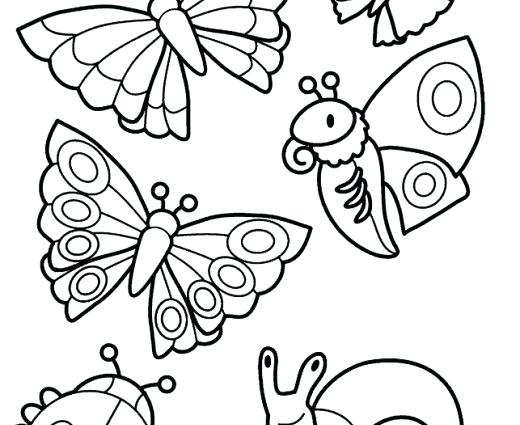 Insect Coloring Pages Insect Coloring Pages Printable Insects Top 520x425 Insect Coloring Pages Insect Coloring Pages Printable Insects Top