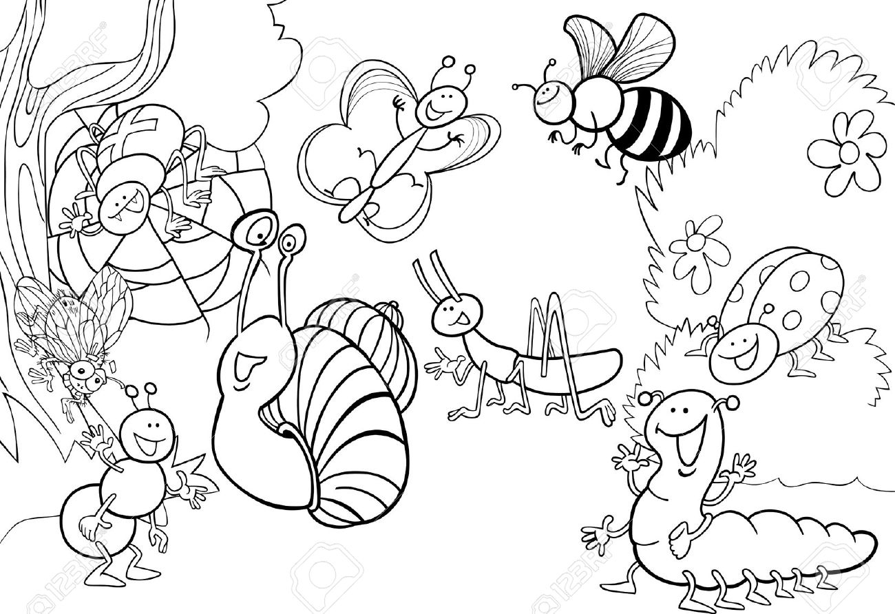 Insect Coloring Sheets Amazing Photos With Insects Pages Bug 1300x892 Insect Coloring Sheets Amazing Photos With Insects Pages Bug
