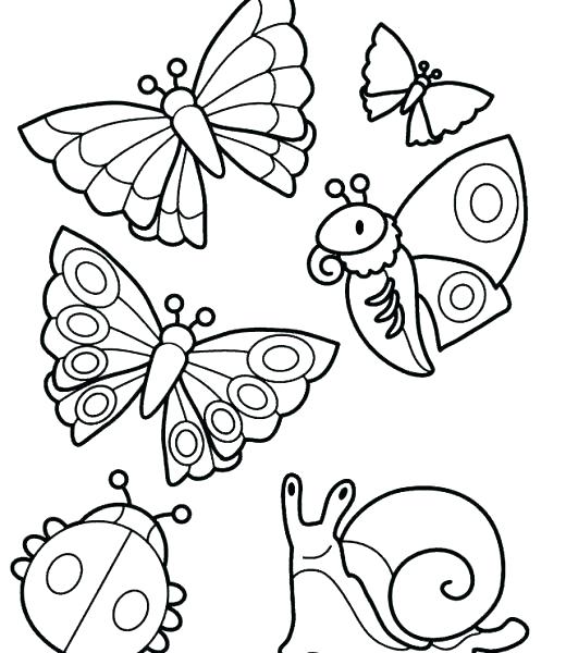 Insects Coloring Page Insect Coloring Sheets Pages Flowers Insects 520x600 Insects Coloring Page Insect Coloring Sheets Pages Flowers Insects