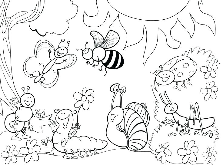 Insects Coloring Pages Bugs Coloring Page Free Printable Insect 736x545 Insects Coloring Pages Bugs Coloring Page Free Printable Insect