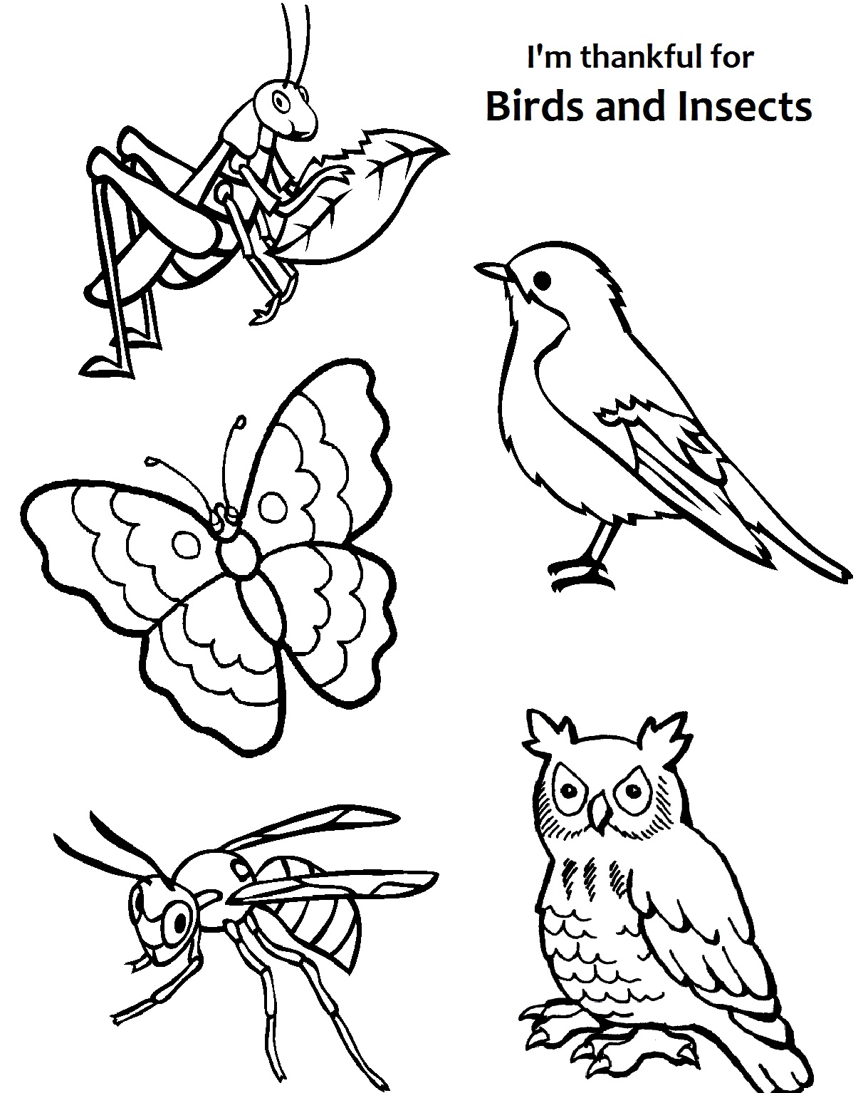 Insects Coloring Pages I Am Thankful For Birds And Page Lds 1212x1534 Insects Coloring Pages I Am Thankful For Birds And Page Lds