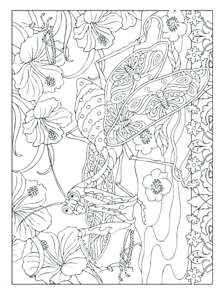 Insects Coloring Pages Insect Coloring Book Publishing Coloring 713x936 Insects Coloring Pages Insect Coloring Book Publishing Coloring