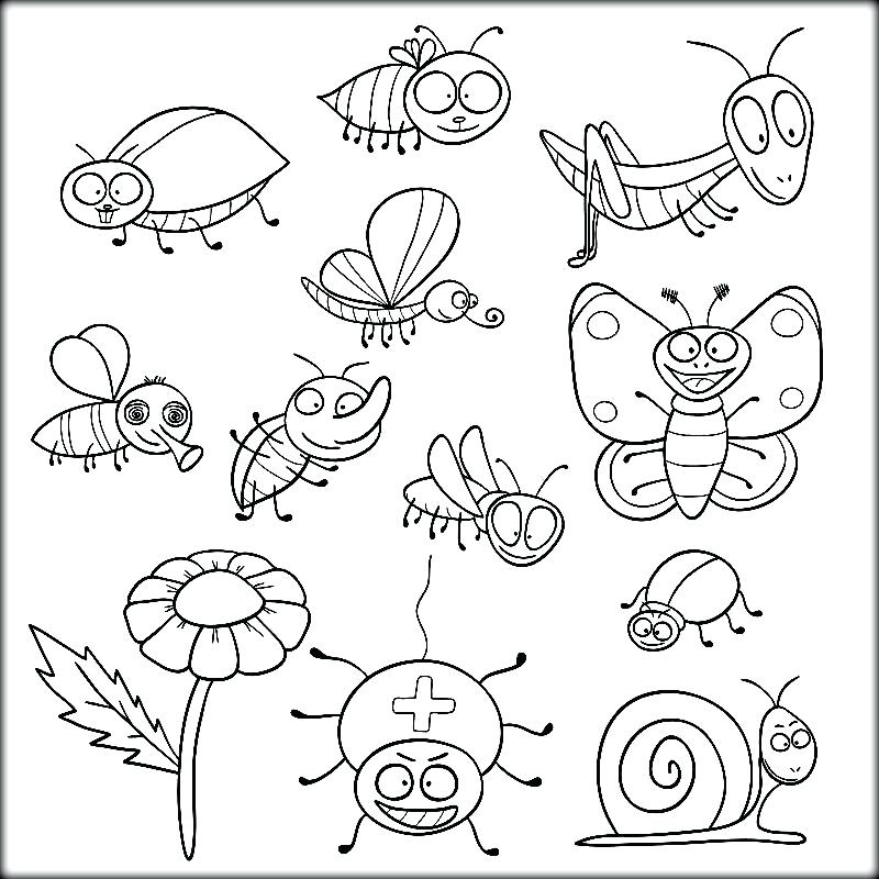 Insects Coloring Pages Insects Coloring Insects Coloring Pictures 800x800 Insects Coloring Pages Insects Coloring Insects Coloring Pictures
