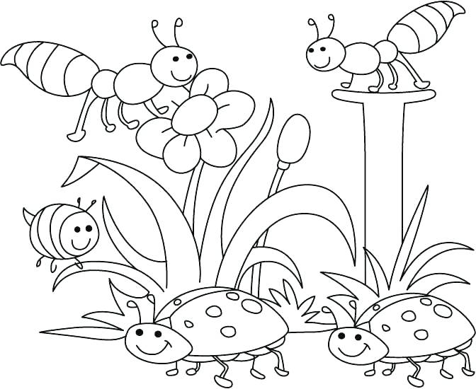 Insects Coloring Pages Ladybugs Bee To Color In Coloring Page 672x550 Insects Coloring Pages Ladybugs Bee To Color In Coloring Page