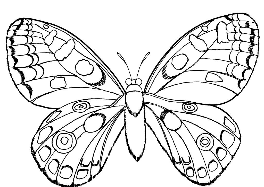 Butterfly And Insect Coloring Pages 1024x727 Butterfly And Insect Coloring Pages