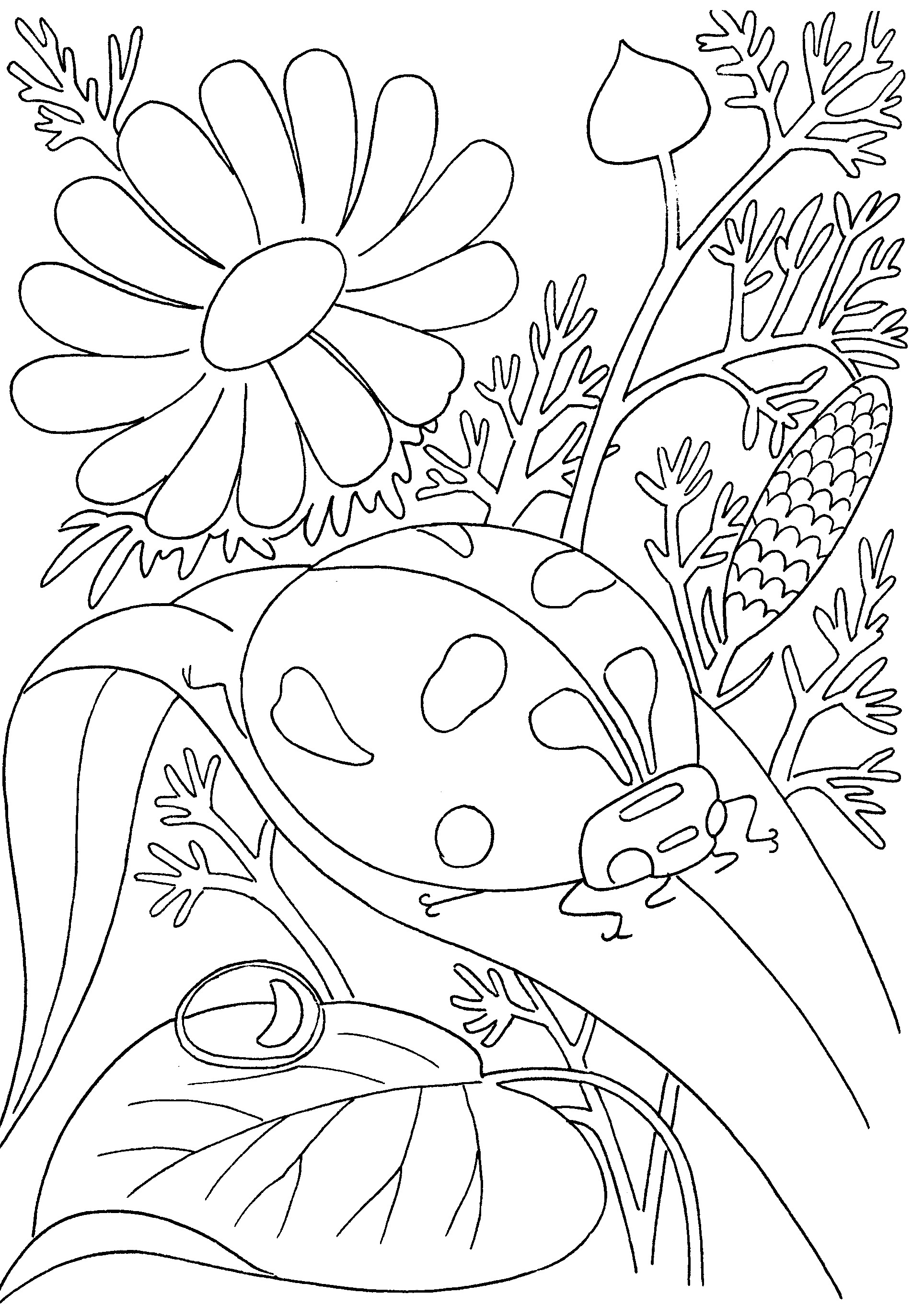 Gardening Coloring Pages For Kindergarten New Garden Coloring 1928x2726 Gardening Coloring Pages For Kindergarten New Garden Coloring