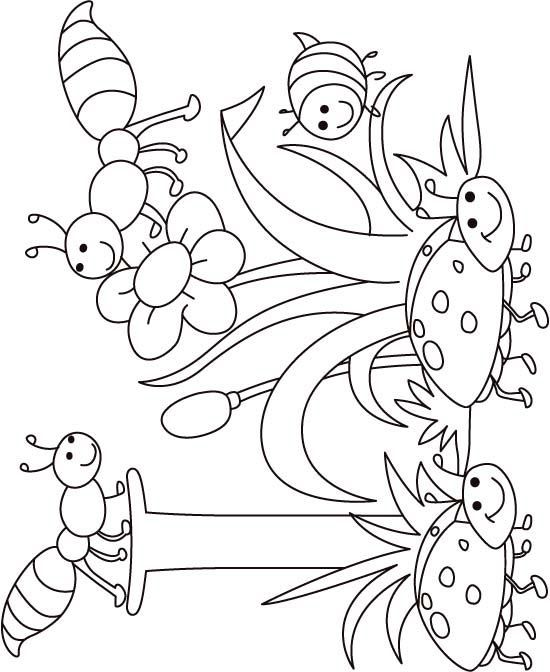 I For Insect Coloring Page For Kids 550x672 I For Insect Coloring Page For Kids