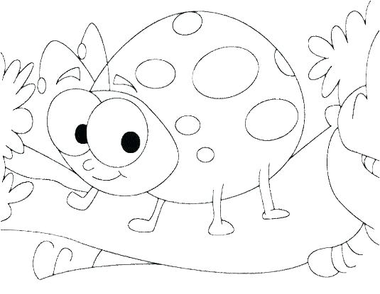 Insect Coloring Sheets Insect Coloring Pages Cute Ladybug Insect 535x415 Insect Coloring Sheets Insect Coloring Pages Cute Ladybug Insect