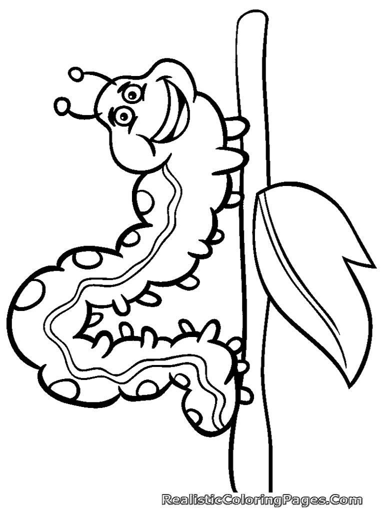 Insects Coloring Pages 768x1024 Insects Coloring Pages
