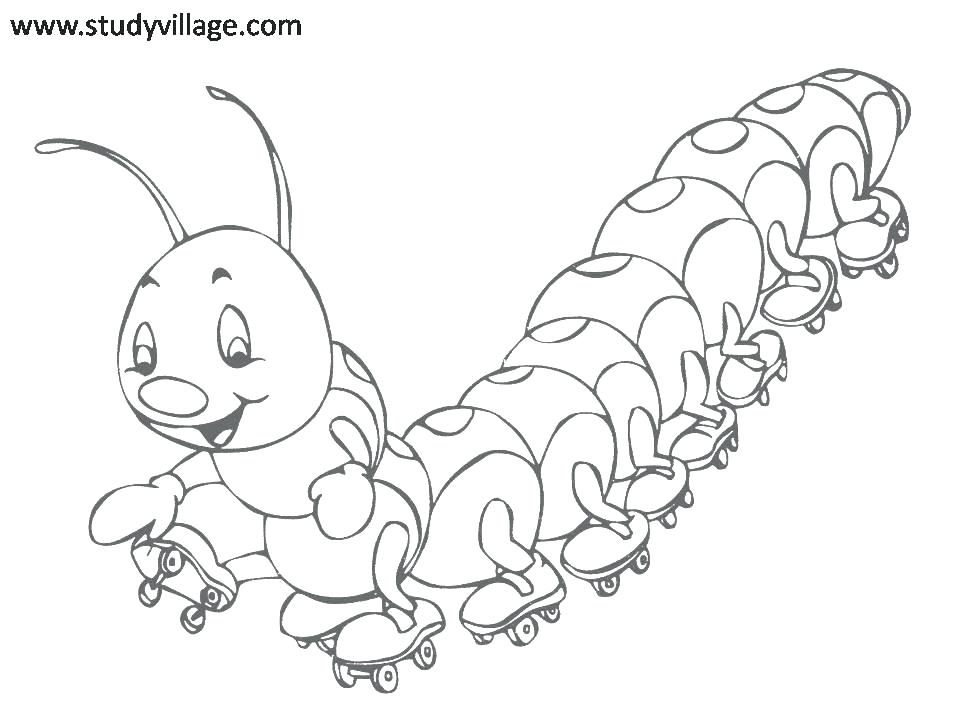 Insects Coloring Pages Bugs And Insects Coloring Pages Printable 960x720 Insects Coloring Pages Bugs And Insects Coloring Pages Printable