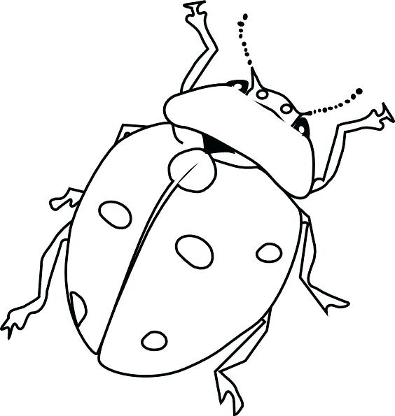 Awesome Of Printable Bug Coloring Pages Image Coloring Pages 564x595 Awesome Of Printable Bug Coloring Pages Image Coloring Pages