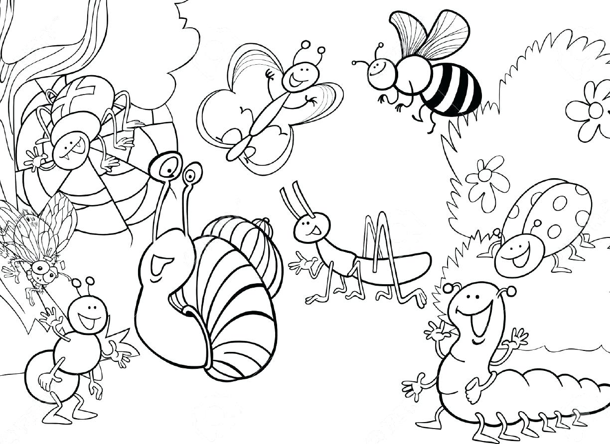 Coloring Pages ~ Bug Coloring Pages Free I For Insects Insect 1224x892 Coloring Pages ~ Bug Coloring Pages Free I For Insects Insect