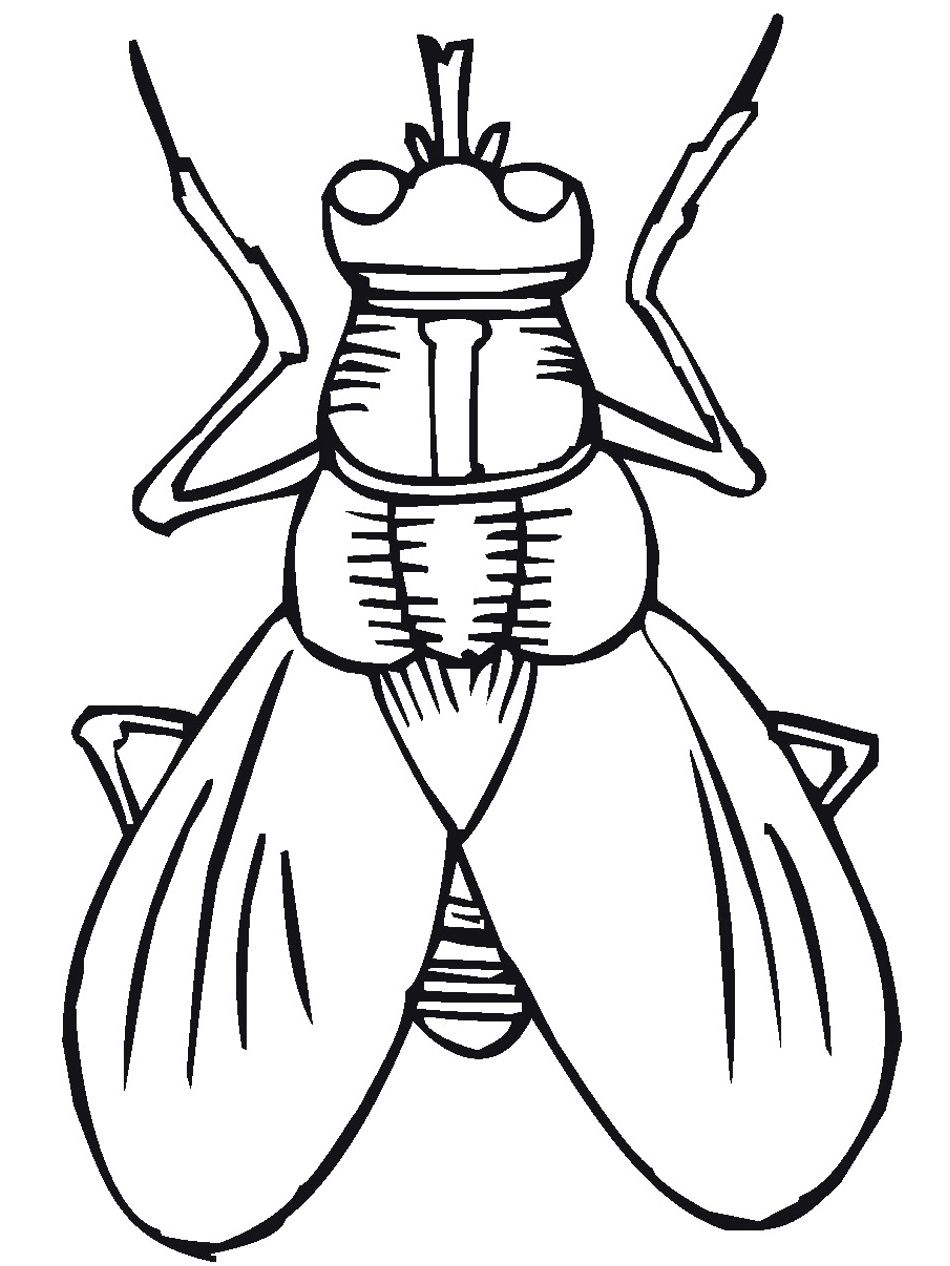 Flying Insect Coloring Pages To Print The Stinky Cheese Man 950x1266 Flying Insect Coloring Pages To Print The Stinky Cheese Man