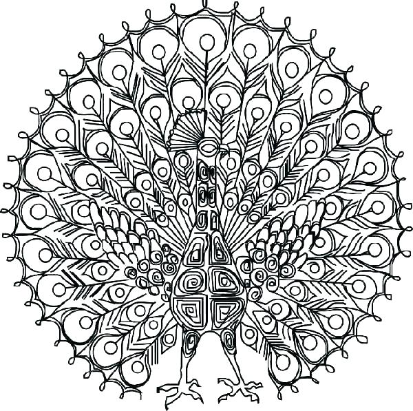 Detailed Butterfly Coloring Pages Detailed Coloring Pages Coloring 600x597 Detailed Butterfly Coloring Pages Detailed Coloring Pages Coloring